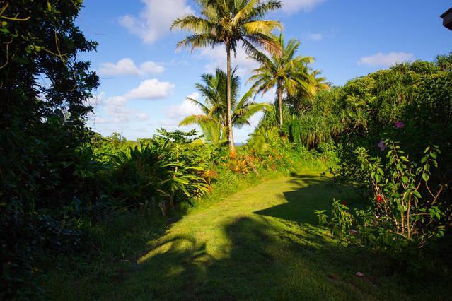 Kirpal Meditation And Ecological Center Pahoa Экстерьер фото