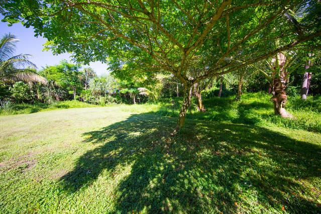 Kirpal Meditation And Ecological Center Pahoa Экстерьер фото